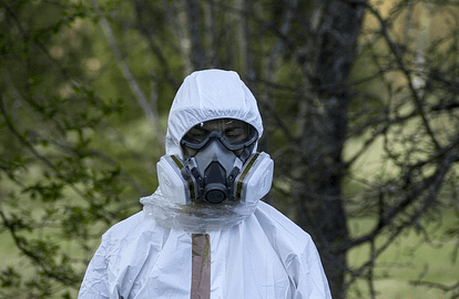 asbestos removal expert