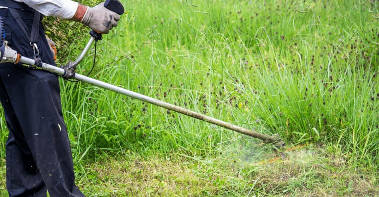 commercial weed eater